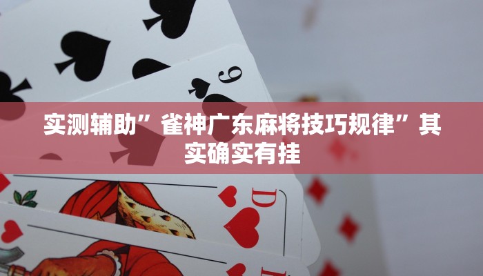 教程辅助“新世界大厅透视辅助软件”开挂详细教程