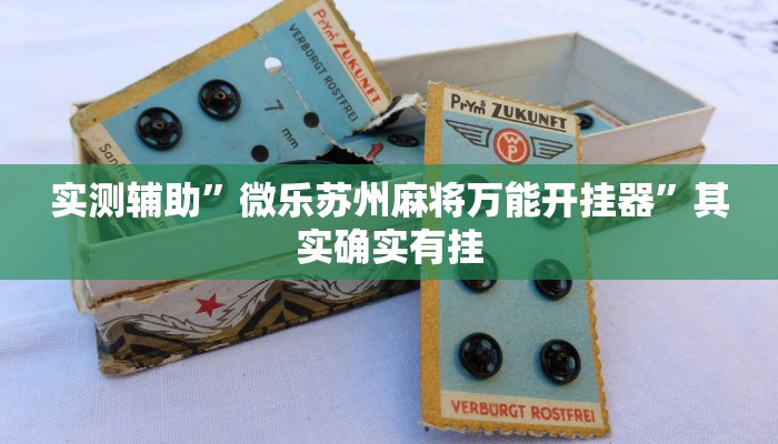 实测辅助”麻友圈2作弊开挂方法(透视)辅助软件教程