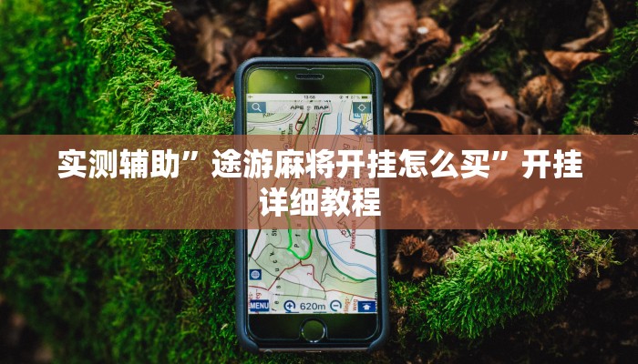 实测辅助”途游麻将开挂怎么买”开挂详细教程