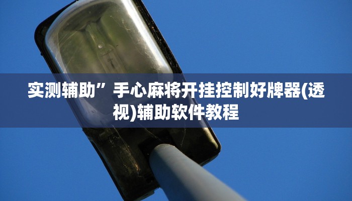 实测辅助”中至九江麻将有挂吗”开挂详细教程