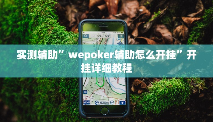 实测辅助”wepoker辅助怎么开挂”开挂详细教程