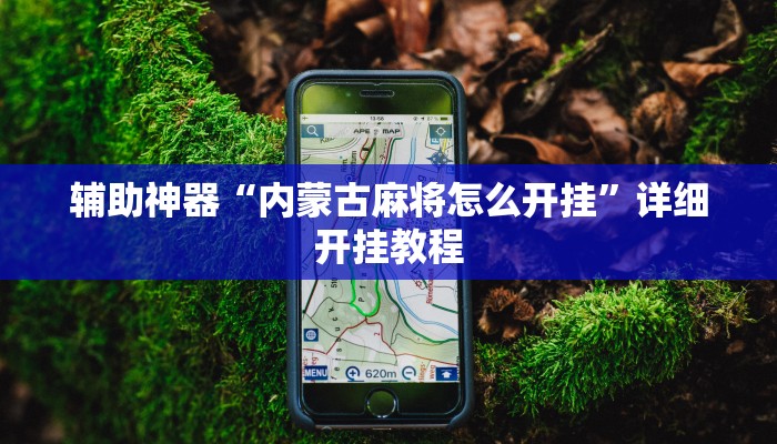 辅助神器“内蒙古麻将怎么开挂”详细开挂教程