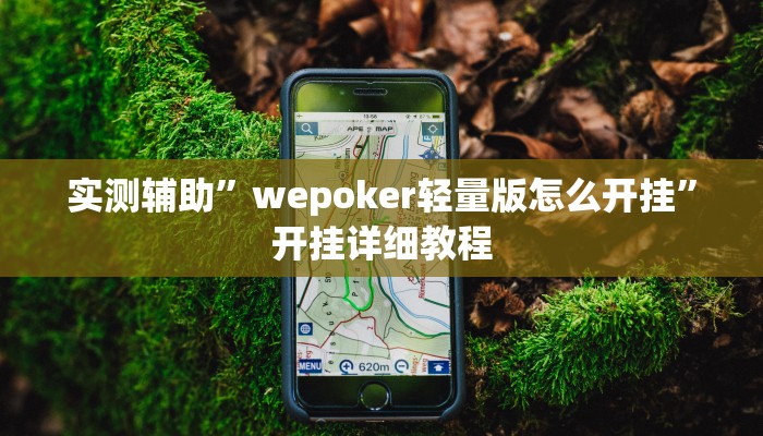 实测辅助”wepoker轻量版怎么开挂”开挂详细教程