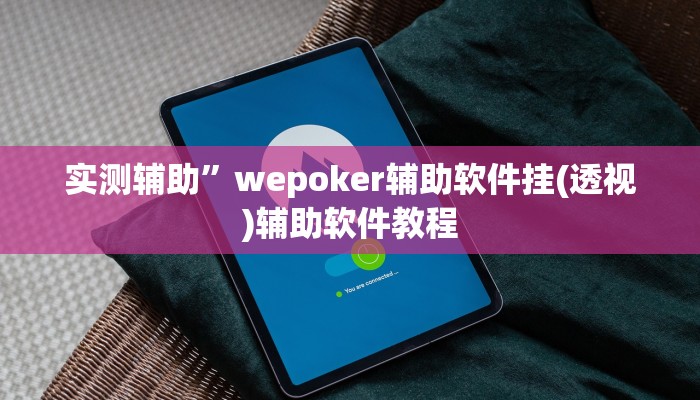 实测辅助”wepoker辅助软件挂(透视)辅助软件教程