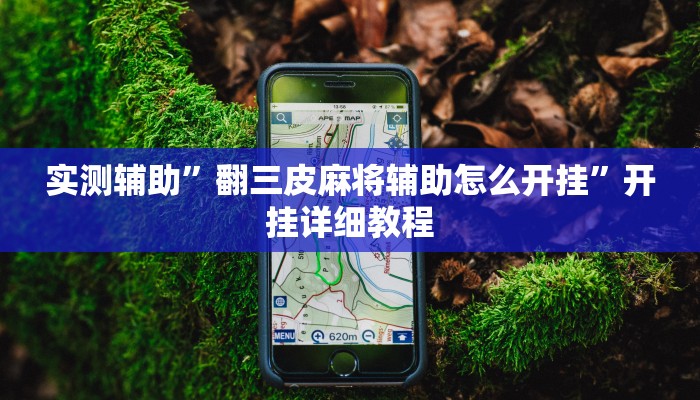 实测辅助”翻三皮麻将辅助怎么开挂”开挂详细教程