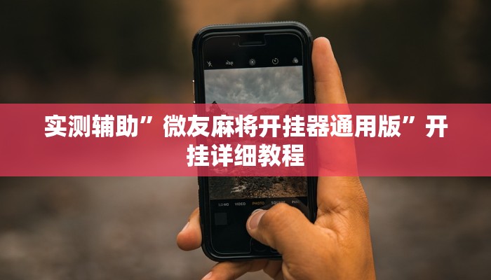 实测辅助”友玩十三张用挂开挂软件(透视)辅助软件教程