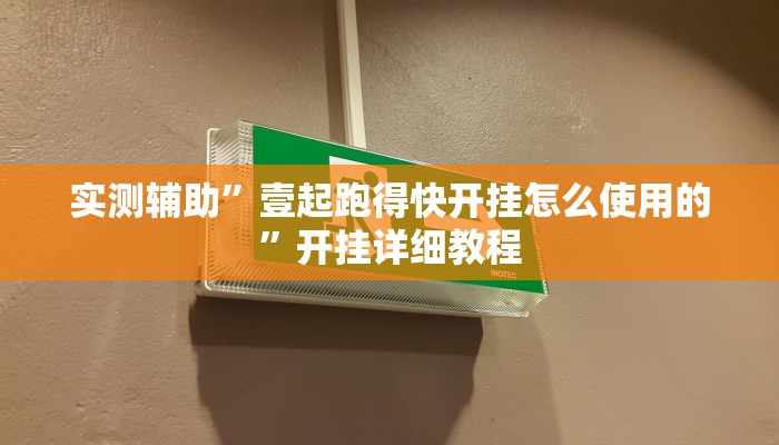 实测辅助”壹起跑得快开挂怎么使用的”开挂详细教程
