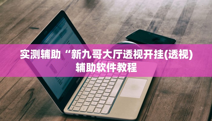 实测辅助“新九哥大厅透视开挂(透视)辅助软件教程
