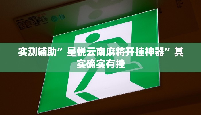 实测辅助”星悦云南麻将开挂神器”其实确实有挂