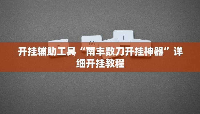 开挂辅助工具“南丰数刀开挂神器”详细开挂教程