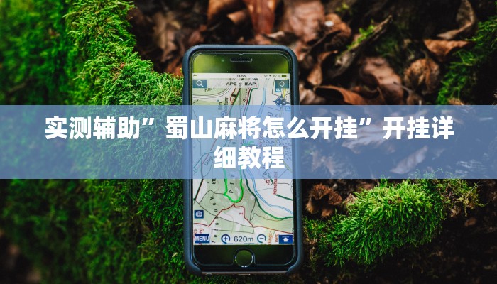 辅助神器“微乐锄大地透视挂视频教程”其实确实有挂