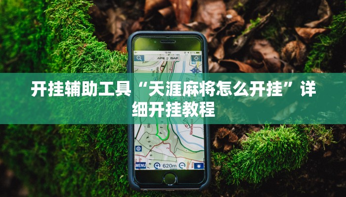 开挂辅助工具“天涯麻将怎么开挂”详细开挂教程