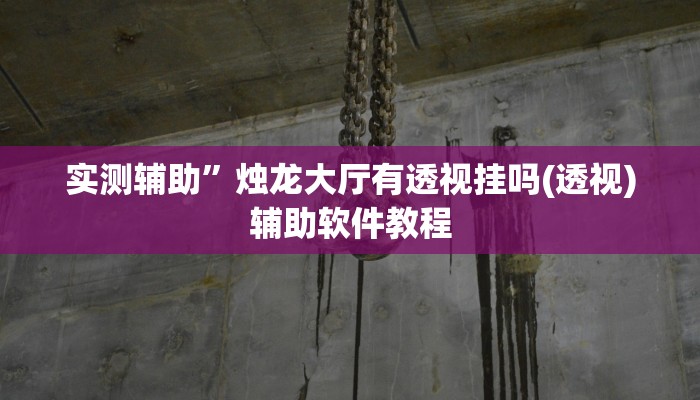 实测辅助”烛龙大厅有透视挂吗(透视)辅助软件教程