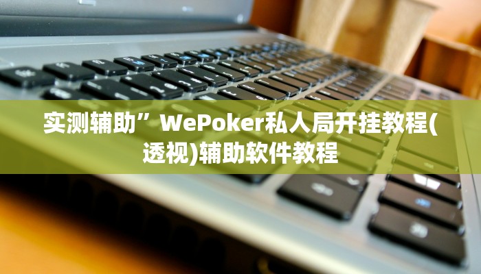 实测辅助”WePoker私人局开挂教程(透视)辅助软件教程