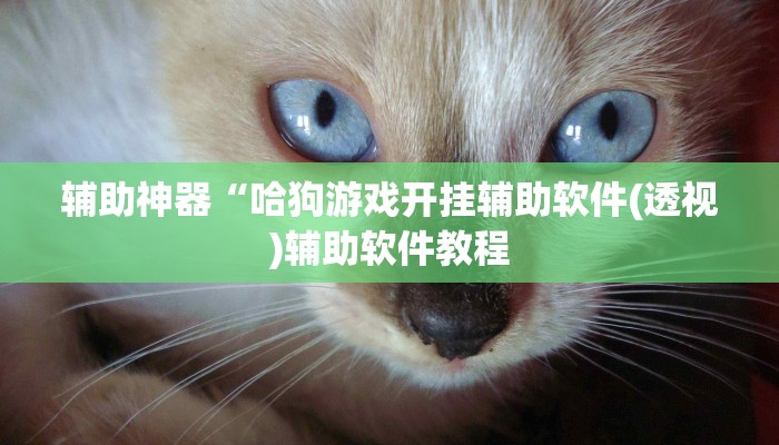 辅助神器“哈狗游戏开挂辅助软件(透视)辅助软件教程