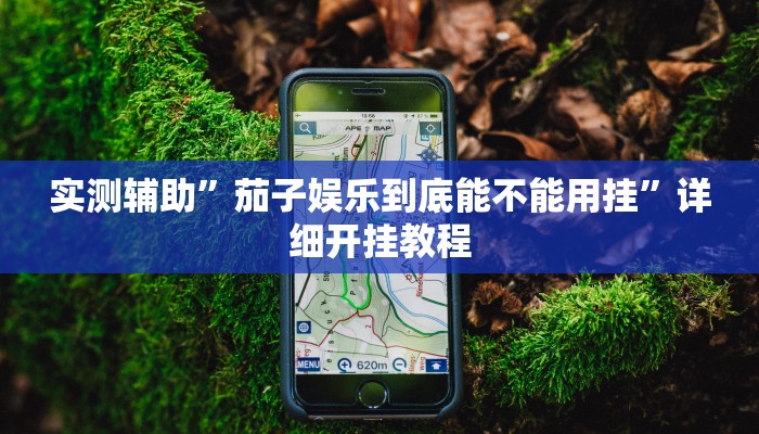 实测辅助”欢乐卡五星有挂吗(透视)辅助软件教程