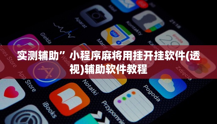 实测辅助”龙鼎拼十通用挂(透视)辅助软件教程