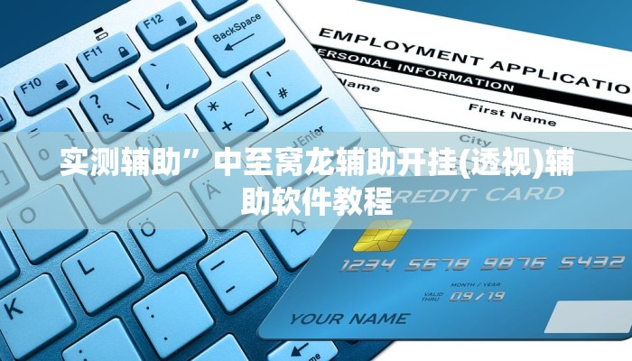 实测辅助”中至窝龙辅助开挂(透视)辅助软件教程