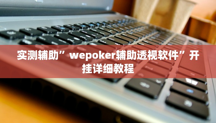实测辅助”wepoker辅助透视软件”开挂详细教程