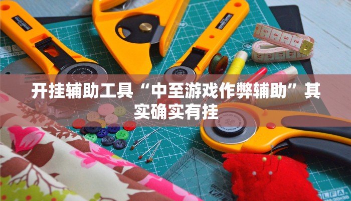 开挂辅助工具“中至游戏作弊辅助”其实确实有挂