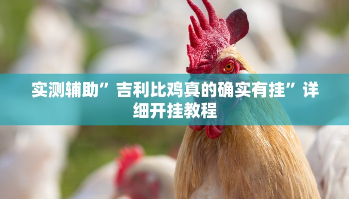 实测辅助”吉利比鸡真的确实有挂”详细开挂教程