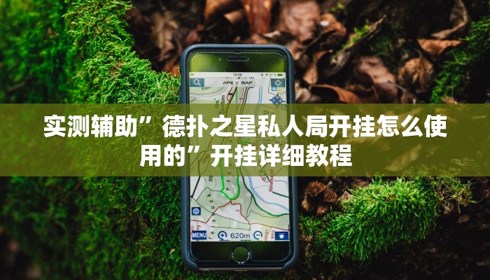 实测辅助”德扑之星私人局开挂怎么使用的”开挂详细教程