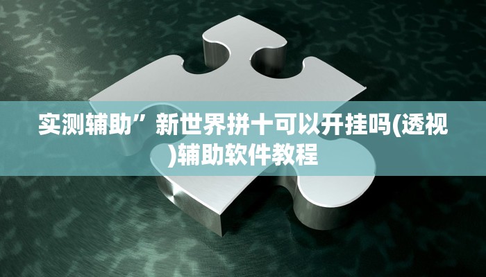 实测辅助”新世界拼十可以开挂吗(透视)辅助软件教程