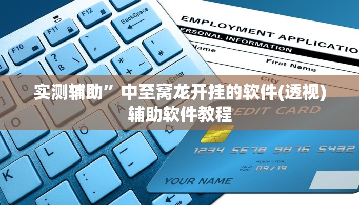 实测辅助”中至窝龙开挂的软件(透视)辅助软件教程