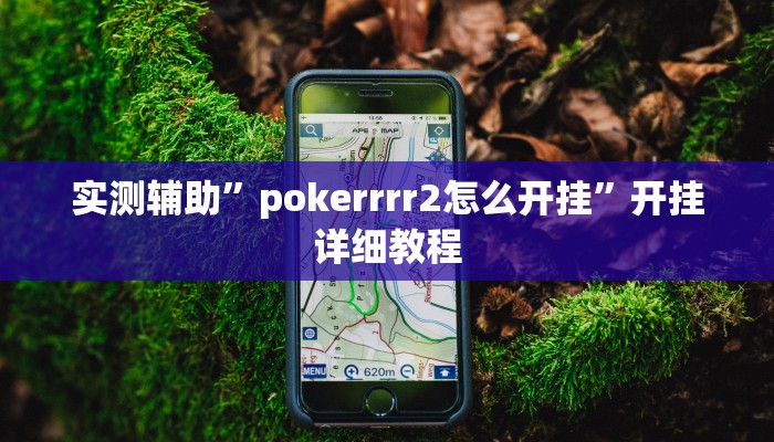 实测辅助”pokerrrr2怎么开挂”开挂详细教程