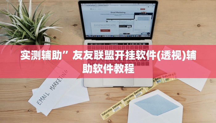 实测辅助”友友联盟开挂软件(透视)辅助软件教程