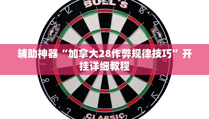 辅助神器“加拿大28作弊规律技巧”开挂详细教程