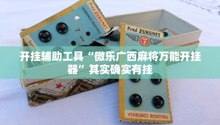 实测辅助”牵手跑得快开挂透视”开挂详细教程