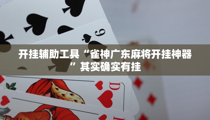 开挂辅助工具“雀神广东麻将开挂神器”其实确实有挂