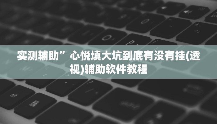 实测辅助”心悦填大坑到底有没有挂(透视)辅助软件教程