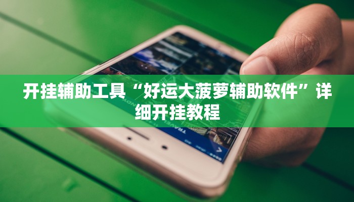 开挂辅助工具“好运大菠萝辅助软件”详细开挂教程