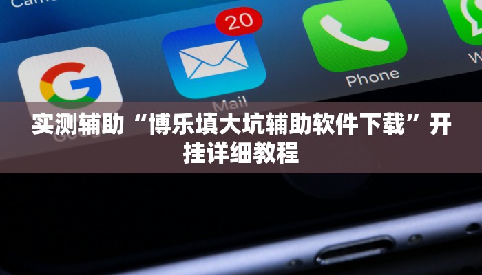 实测辅助“博乐填大坑辅助软件下载”开挂详细教程