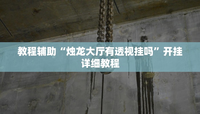 教程辅助“烛龙大厅有透视挂吗”开挂详细教程
