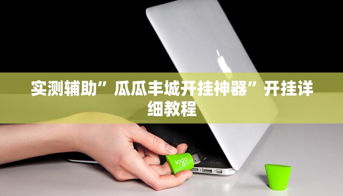 实测辅助”瓜瓜丰城开挂神器”开挂详细教程