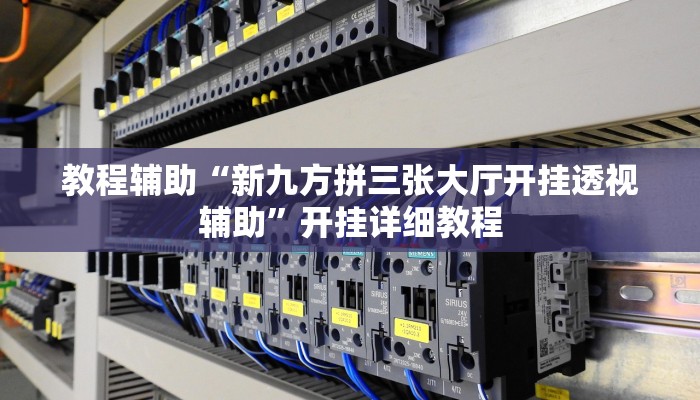 教程辅助“新九方拼三张大厅开挂透视辅助”开挂详细教程