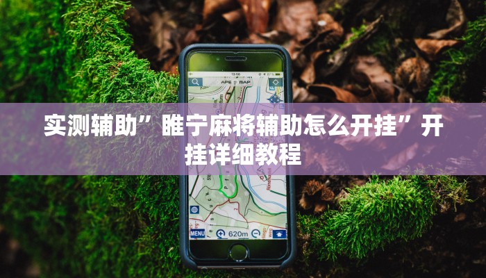 实测辅助”睢宁麻将辅助怎么开挂”开挂详细教程