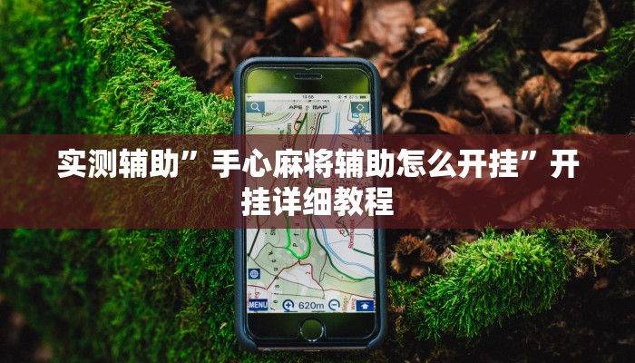 实测辅助”手心麻将辅助怎么开挂”开挂详细教程