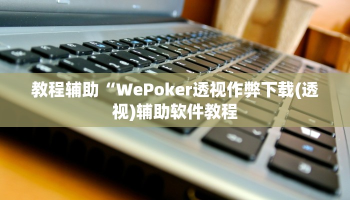 教程辅助“WePoker透视作弊下载(透视)辅助软件教程